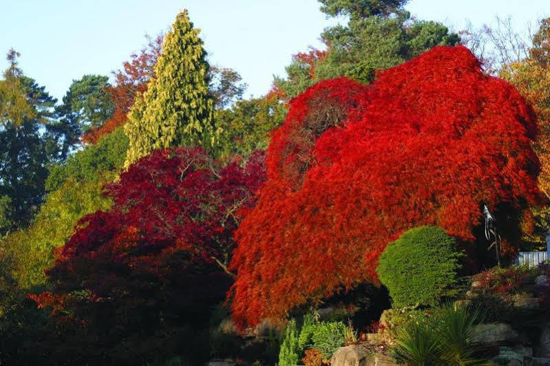 Sunningdale Park Hotel Ascot  Kültér fotó